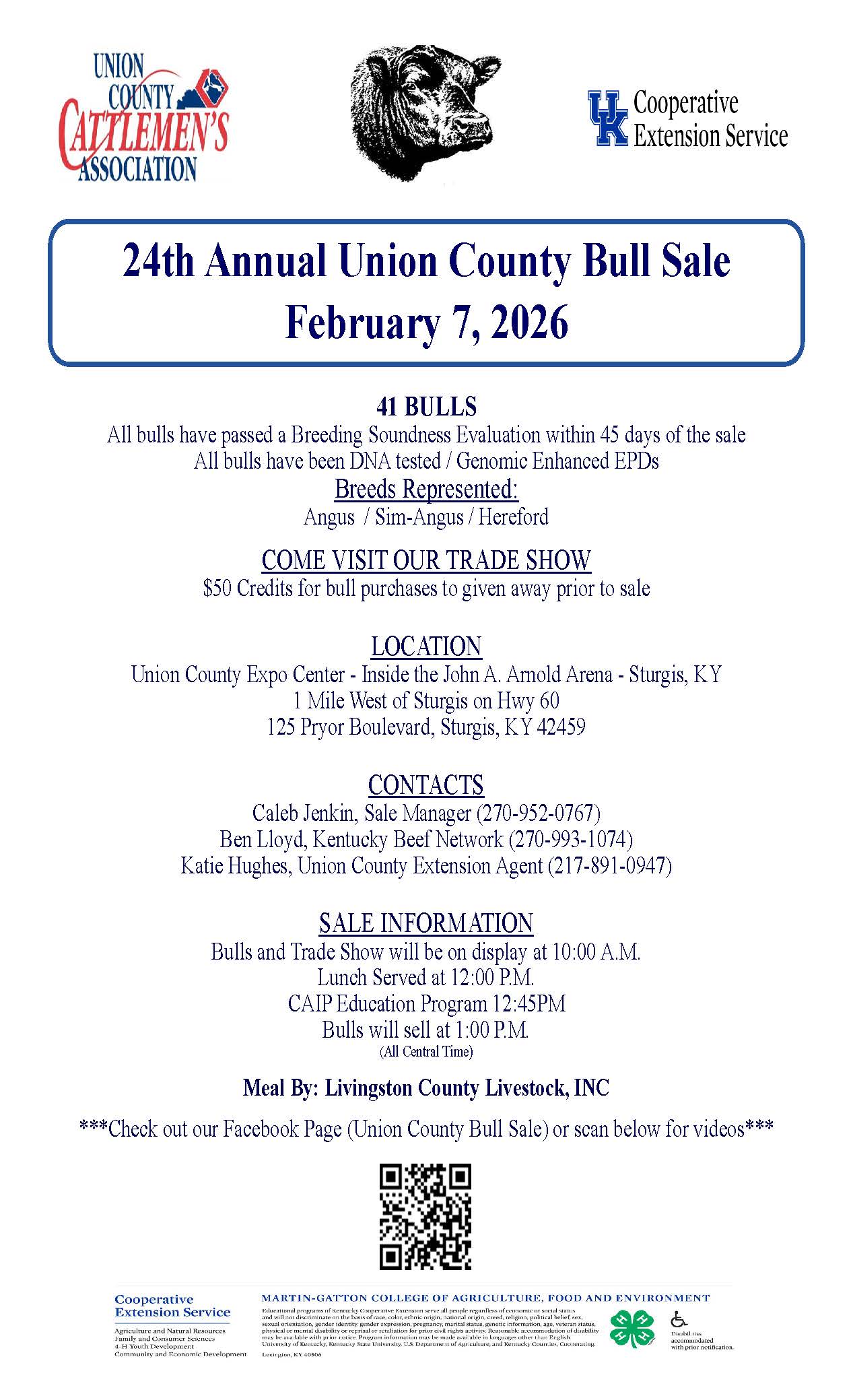 bull head bull sale information