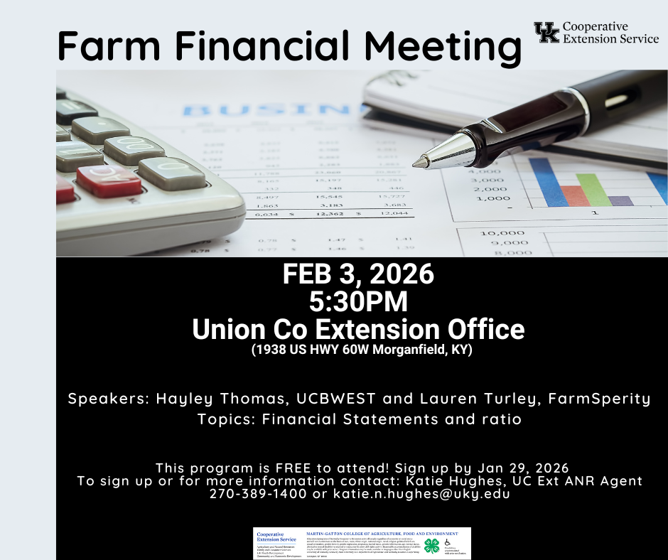 calculator pen and graphs 