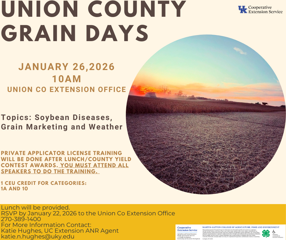 sunset in farm field 