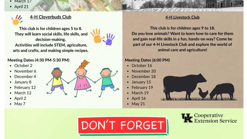 4h flyer with dates and times