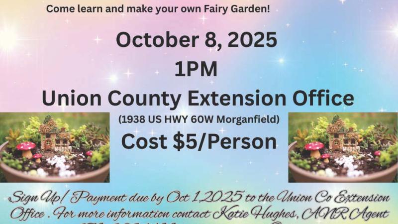 fairy garden