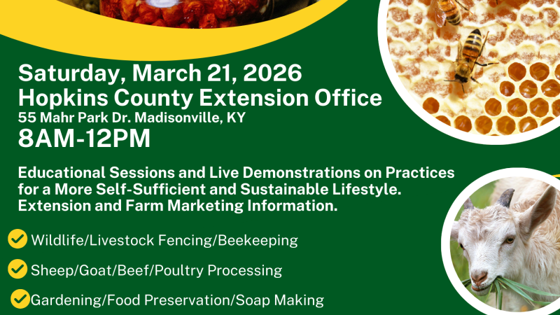 honeycomb jar of produce and a sheep