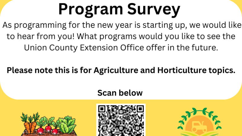 Program Survey 2025